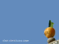 wallpaper - fruta vud�