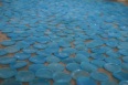 taponcitos